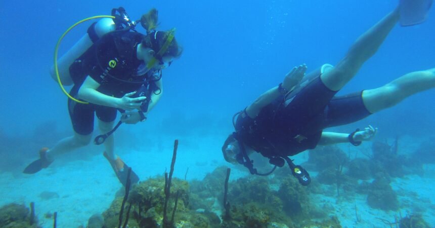 St John Snorkelling